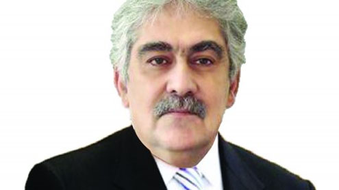 Planning Commission Deputy Chairman Dr Nadeemul Haq