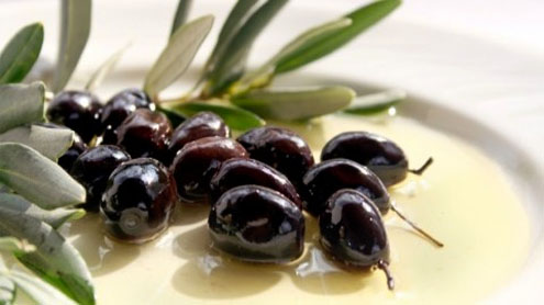 Olive to be cultivated over 1,500 hectare