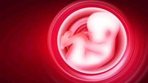 Doctor to pay Rs 500,000 for botched abortion
