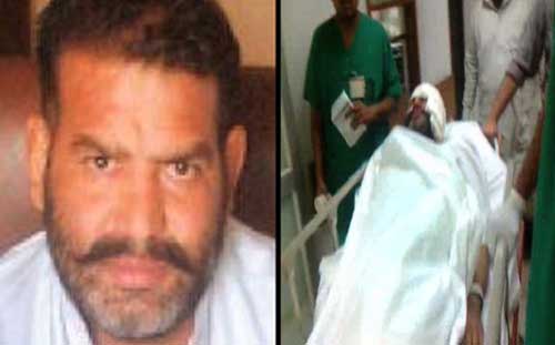 Shafiq Tanoli images