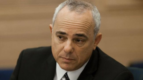 Yuval Steinitz images