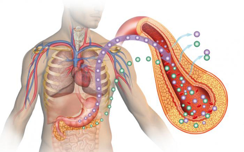 Gene Flaws Heart Disease