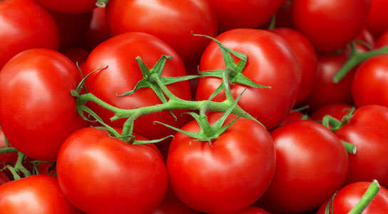 Tomato genome sequenced