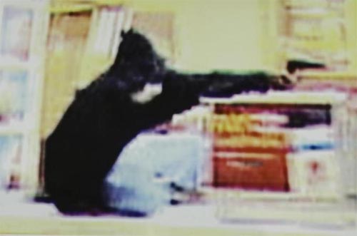 US police shoot robber