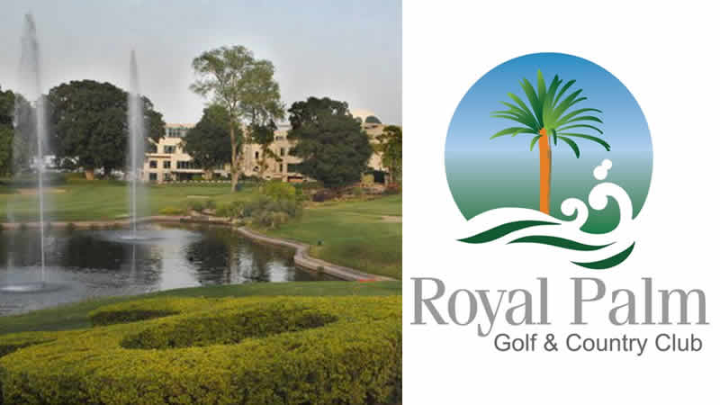 Royal Palm