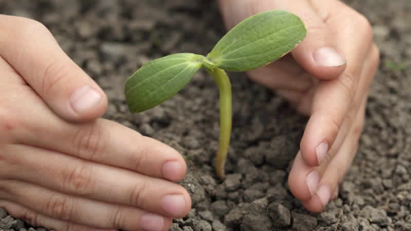 Have We Done Anything For Pakistan.