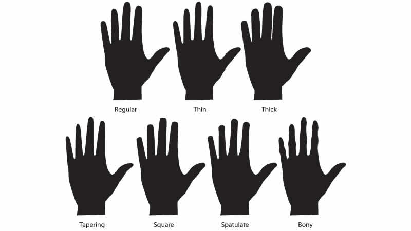 Not all fingers are the same