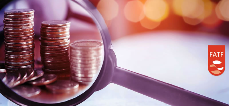 Govt Confirms Pakistan will be Placed on FATF Terror Financing Watchlist in June