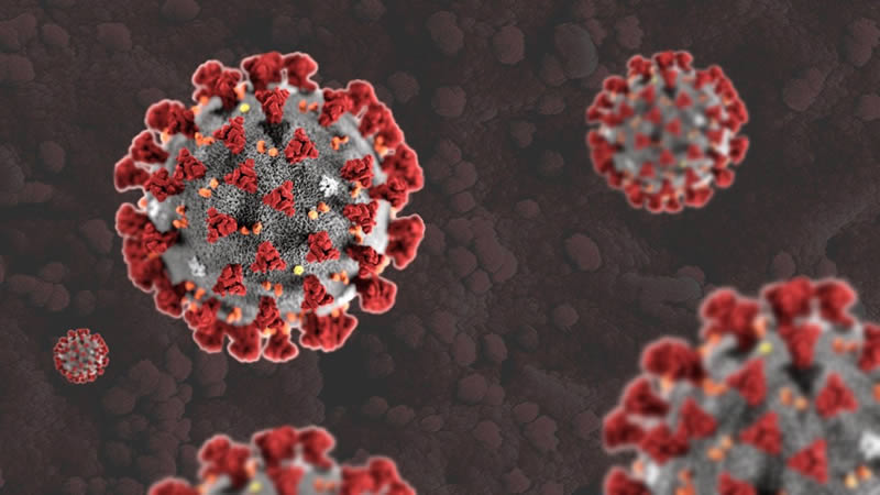 Global Coronavirus Cases Pass 3 Million as Lockdowns Begin to Ease