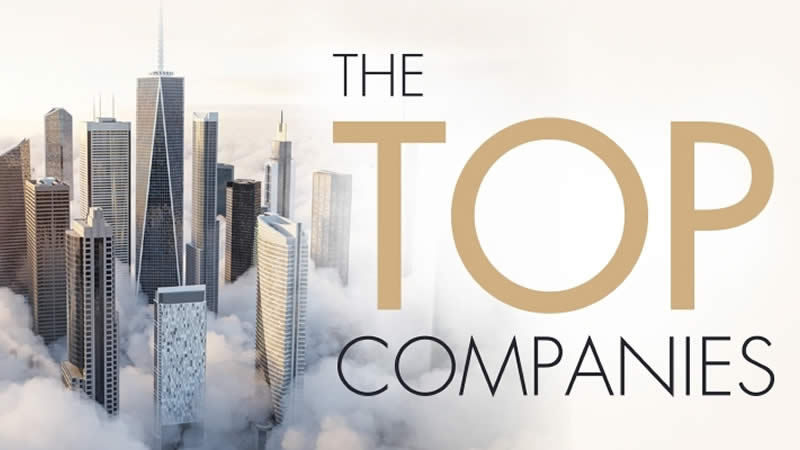 Pros and Cons for an incorporation of a Company