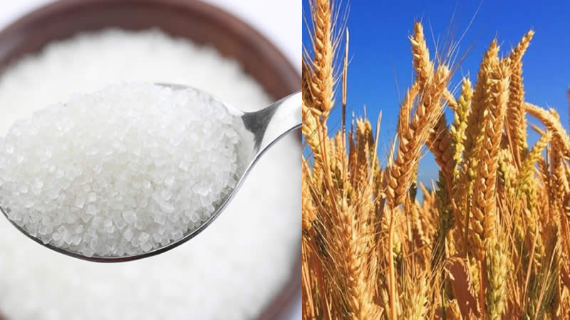 Imports fail to bring down Prices of Sugar, Wheat